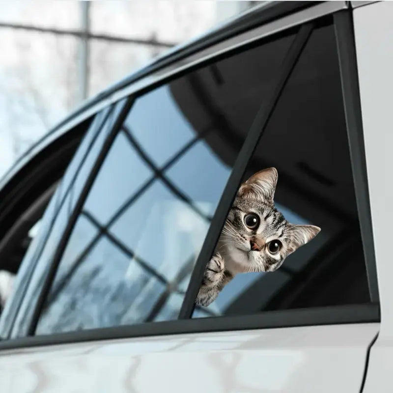 Premium Tabby Cat Car Window Decal - High-Quality Automotive Accessory for Pet Lovers