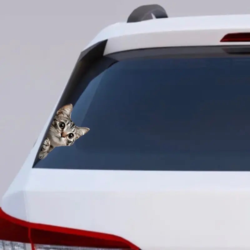 Premium Tabby Cat Car Window Decal - High-Quality Automotive Accessory for Pet Lovers